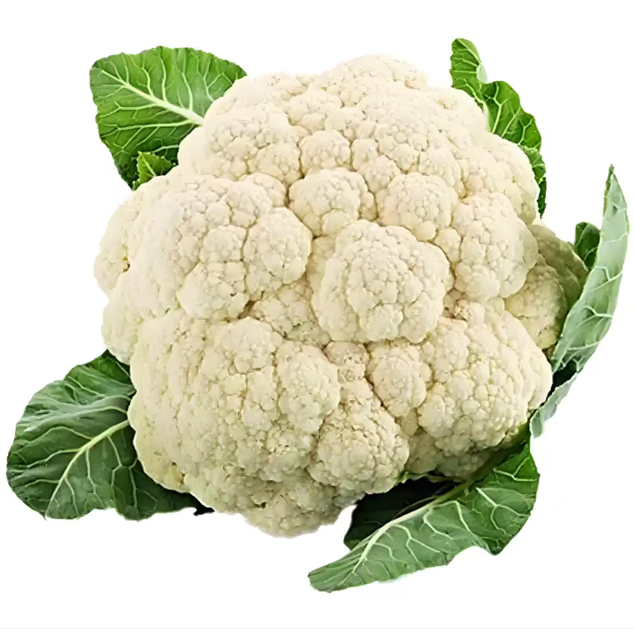 Cauliflower is rich in a variety of nutrients that are beneficial to the human body and has high nut