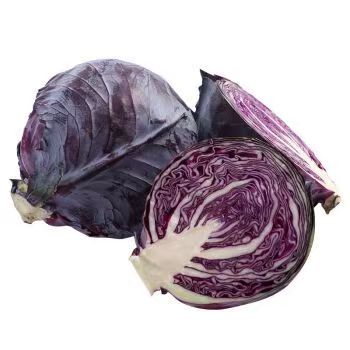 紫甘蓝